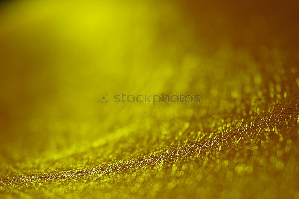 Similar – Image, Stock Photo sequin dress Animal Fish