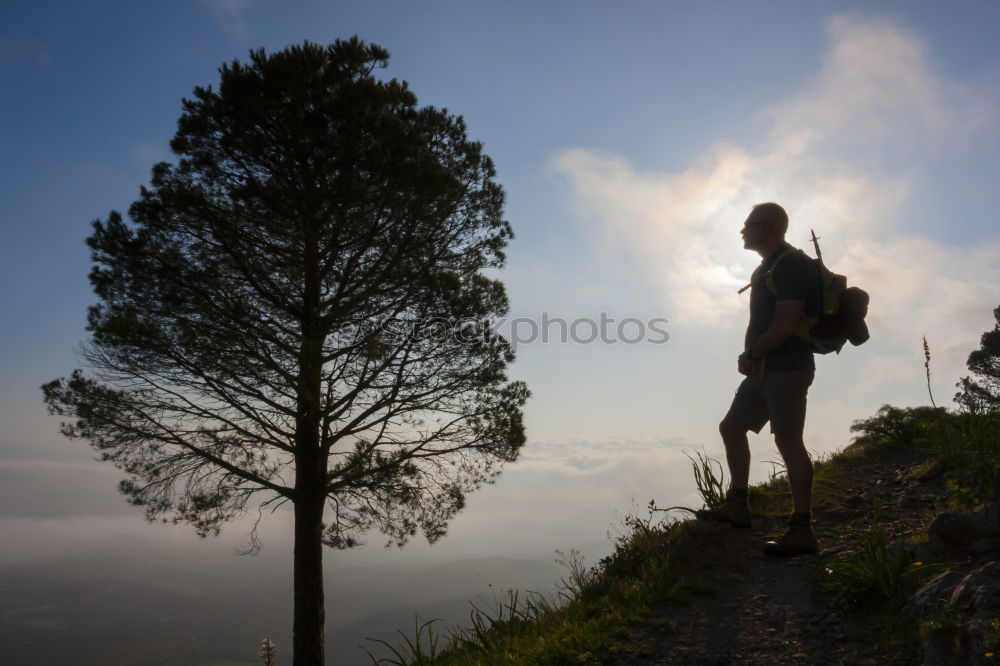 Similar – Image, Stock Photo fog stone Austria