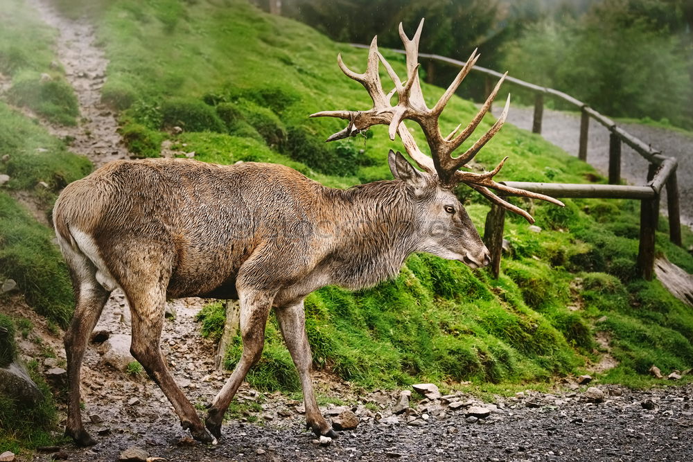 Similar – Foto Bild Steil bergab Umwelt Natur