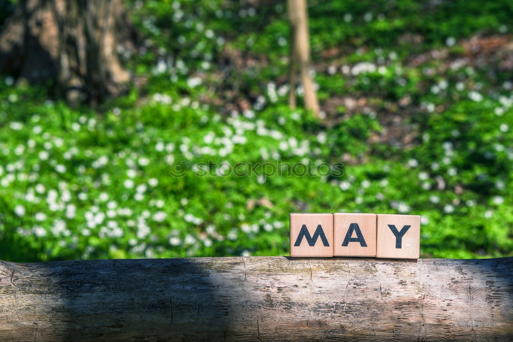 Similar – May word on wooden sign