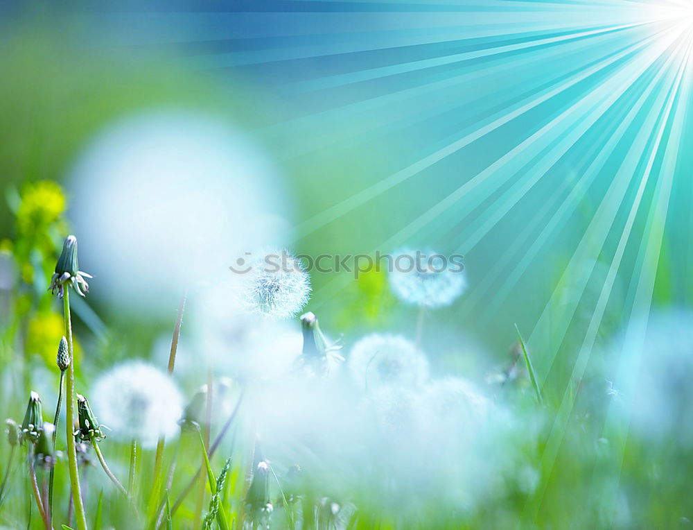 Similar – Image, Stock Photo ::12-6:: Environment