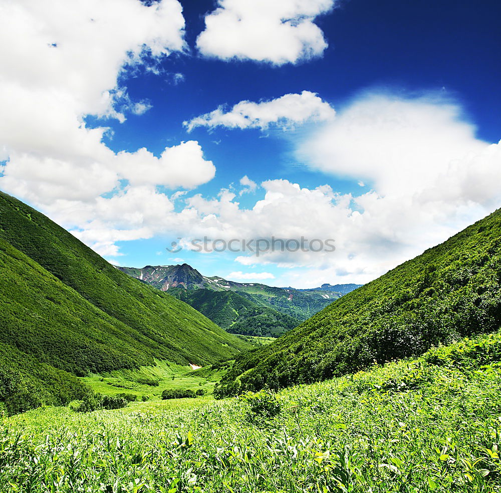 Similar – Image, Stock Photo soothing tea