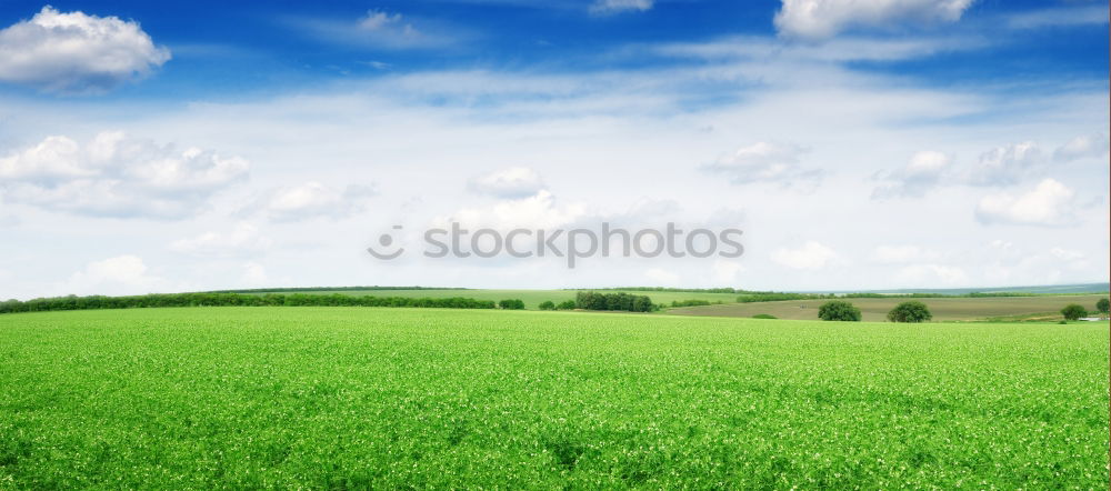 Similar – Image, Stock Photo Golf course photo shooting