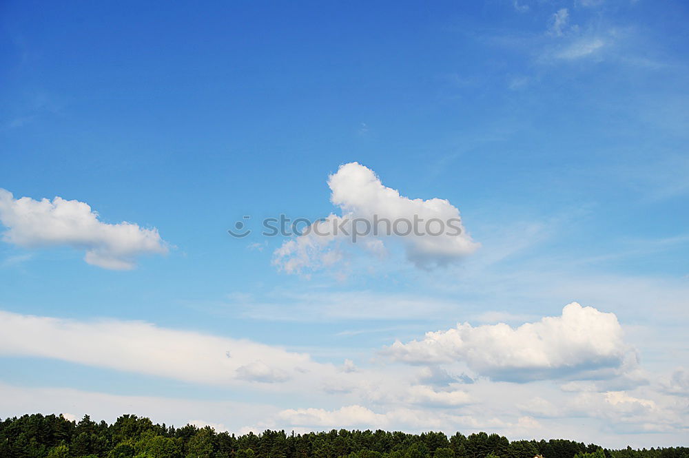 Similar – Foto Bild frühlingsfarben Frühling