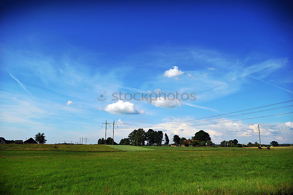 Similar – Image, Stock Photo Field path, maize field and power poles with bright sun