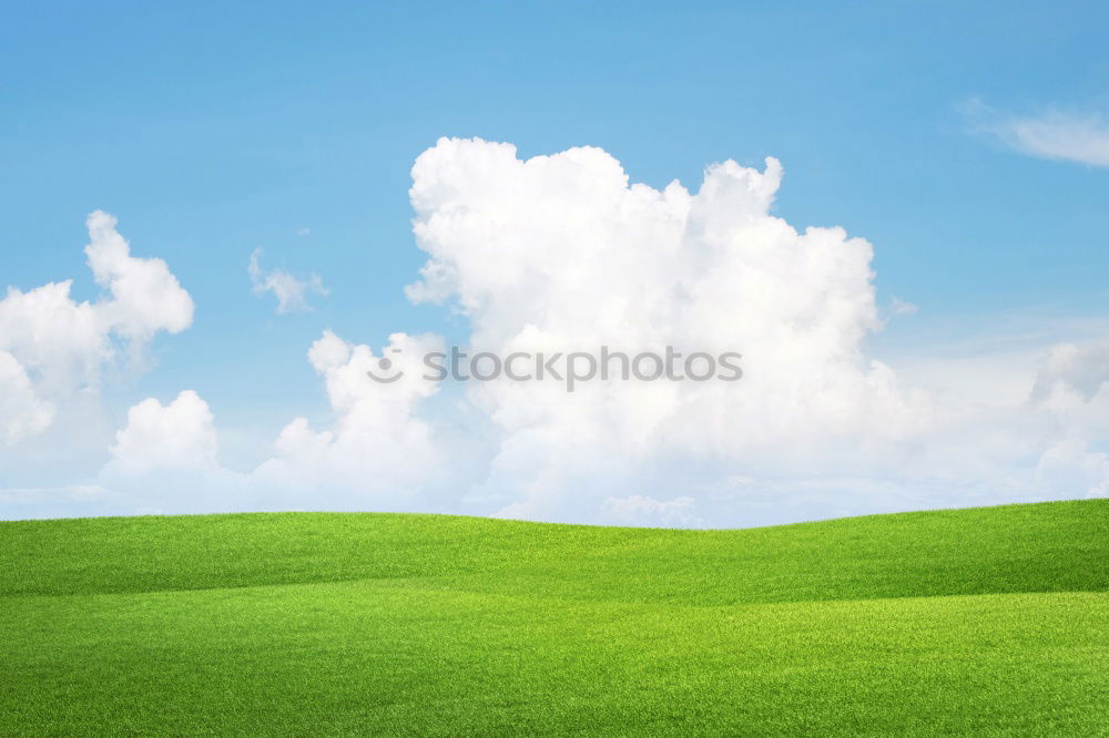 Similar – soft landing Clouds Grass