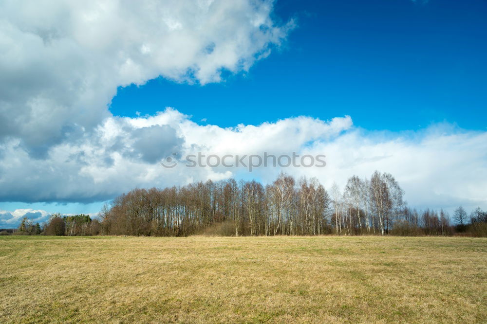 Similar – Image, Stock Photo as the winter went on.