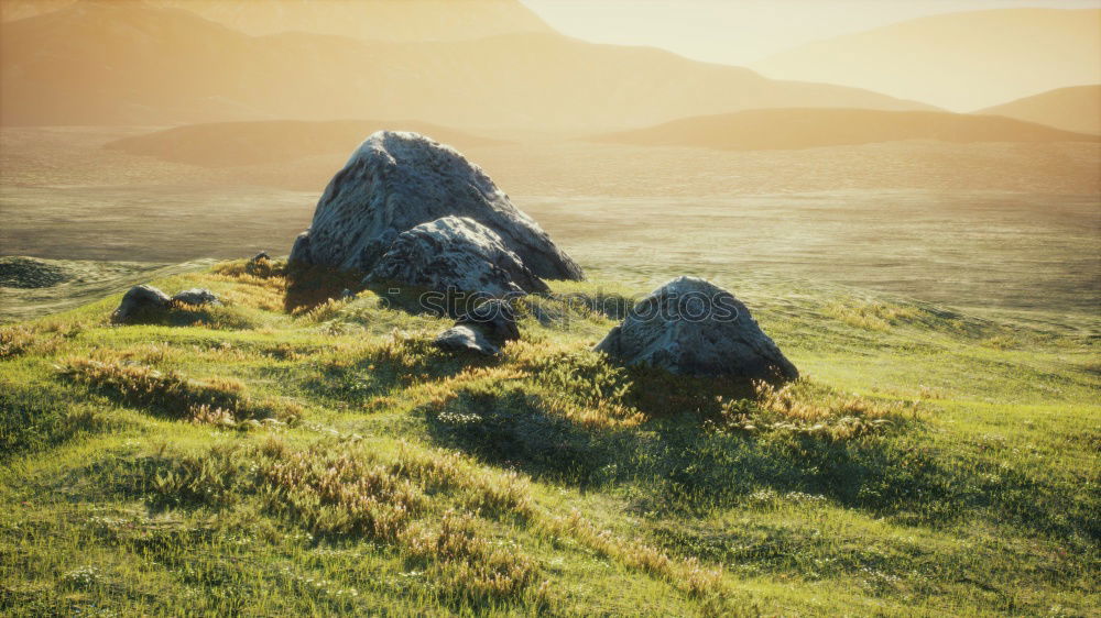 Similar – Image, Stock Photo Tundra III