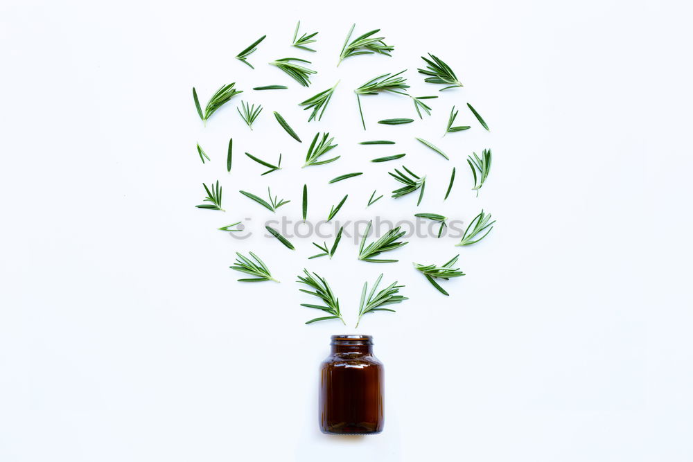 Similar – Image, Stock Photo Green face serum with pipette, flowers and herbs