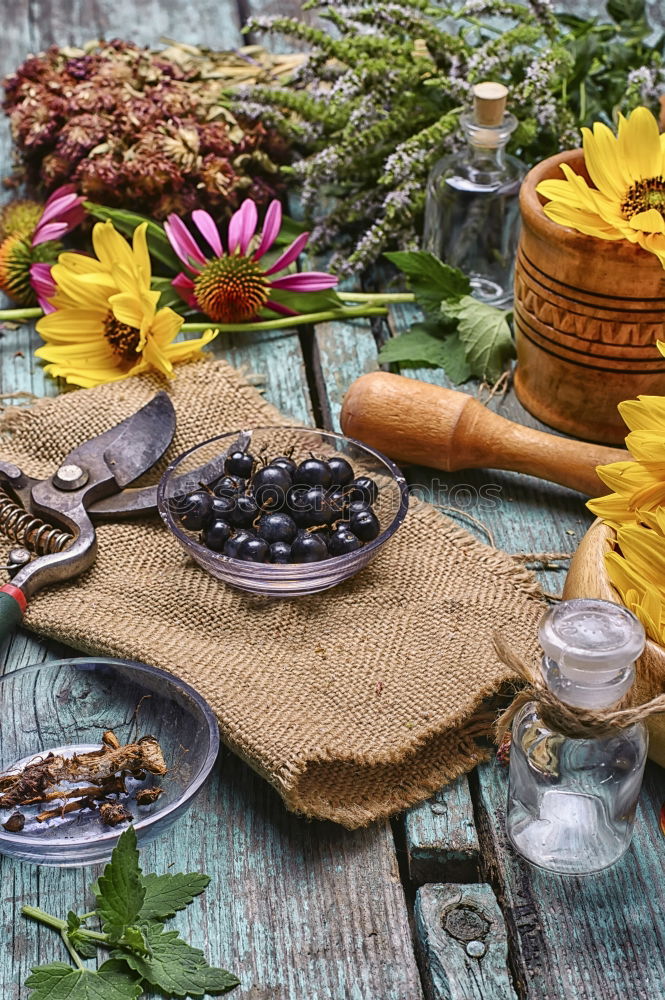 Similar – tea with lavender. flower