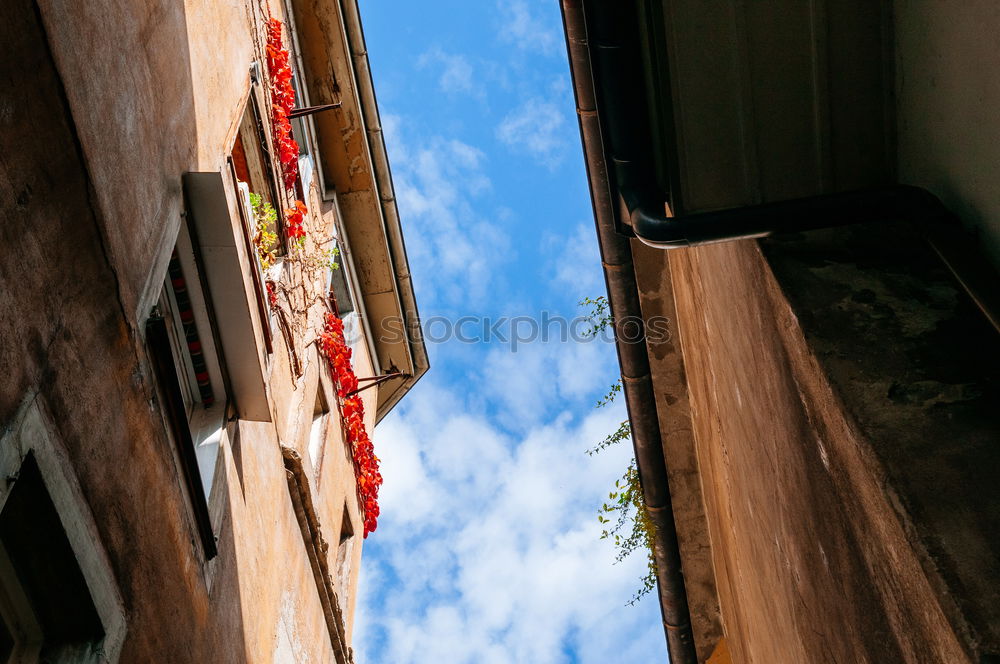 Similar – Image, Stock Photo Venetian sky