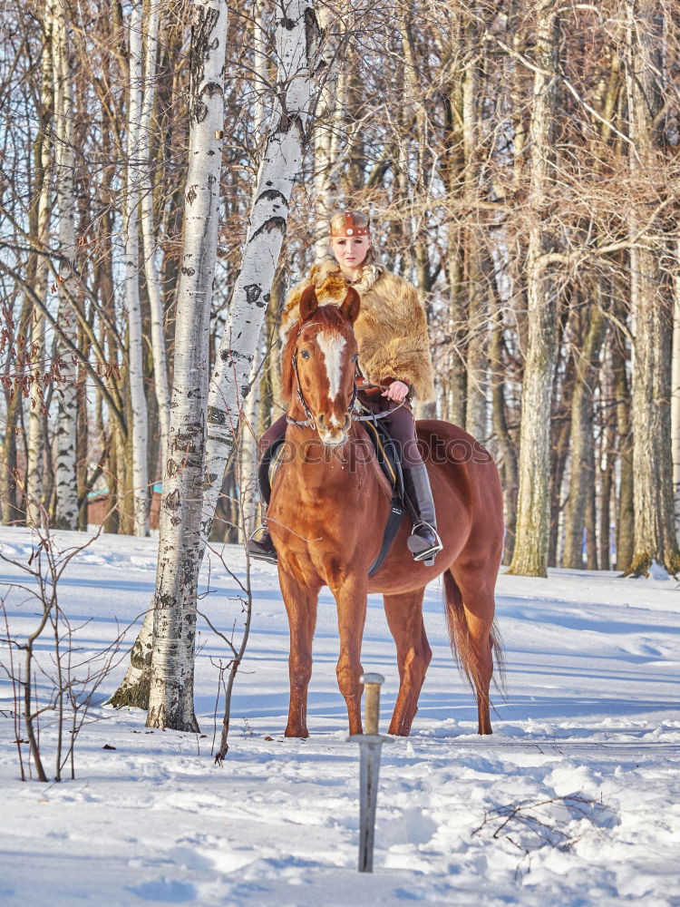 Similar – carriage ride Trip Winter