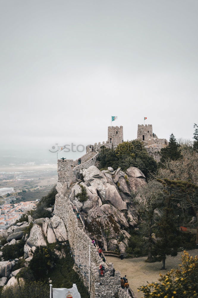 Similar – Image, Stock Photo Mallorca at its best 23