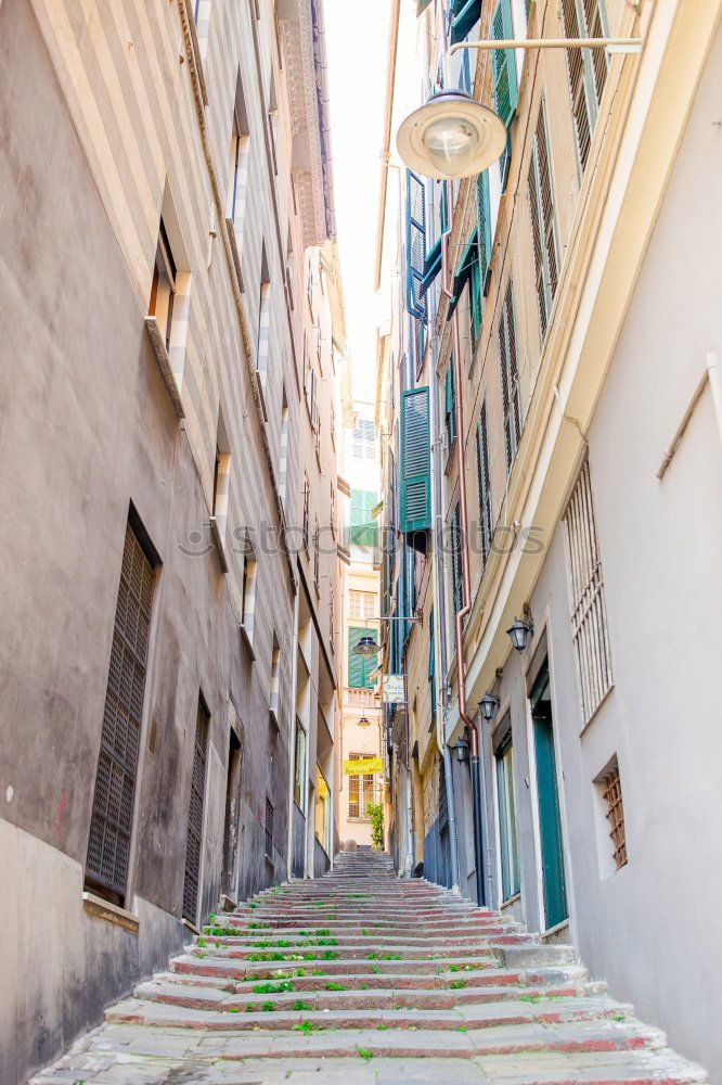 Similar – Image, Stock Photo pretty colorful alleyway in Havana with view to the harbour