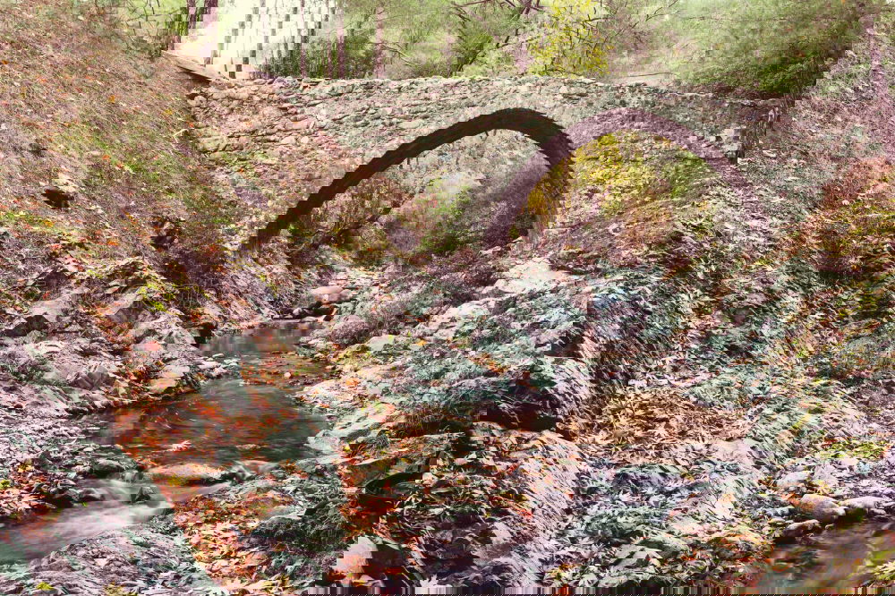 Similar – Image, Stock Photo Old mill wheel on rock with water channel