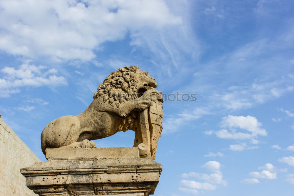 Stone Fury Horse Paris