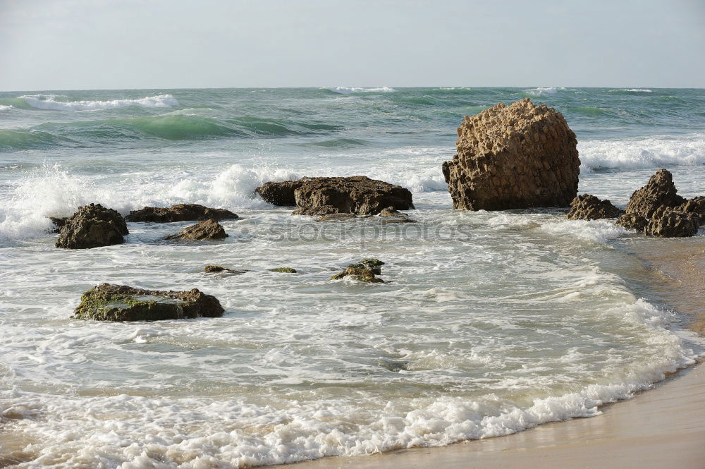 Similar – Image, Stock Photo Santa Barbara Beach