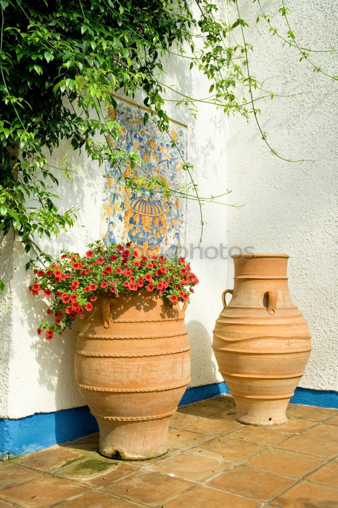 Similar – Image, Stock Photo Woman in flowered dress watering plants with hose in summer-