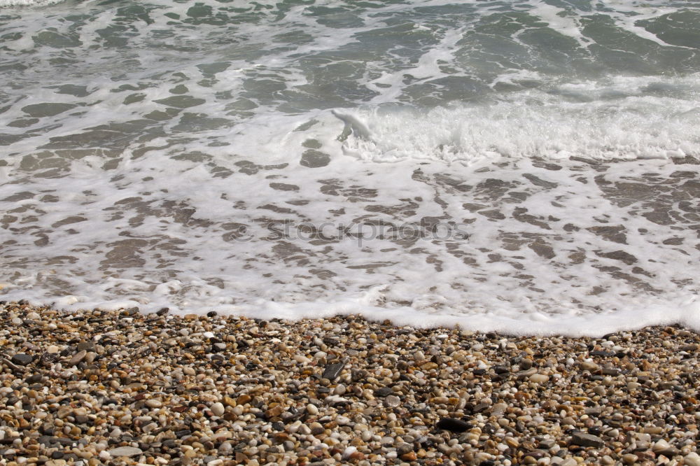 Similar – Image, Stock Photo Dog alone on the beach