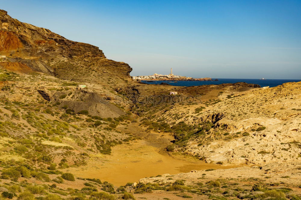 Foto Bild La ribera [XXIV] Natur