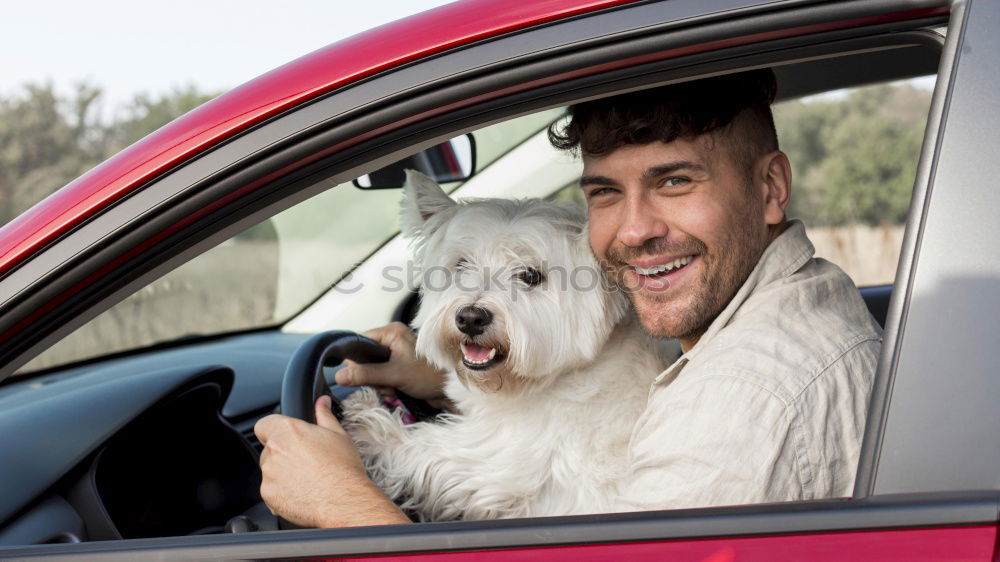 Similar – Image, Stock Photo Cute puppy licking face of young male adult