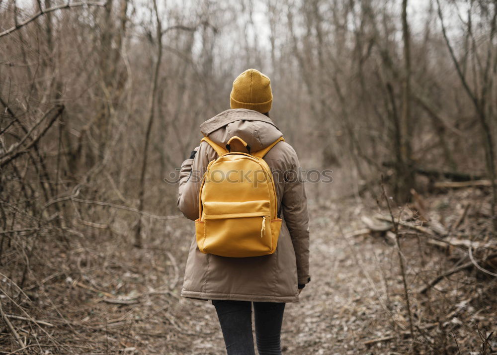 Image, Stock Photo happy kid girl exploring summer forest