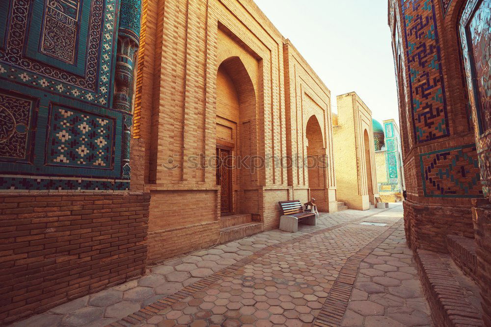 Similar – Image, Stock Photo Mosque at sunset Feminine