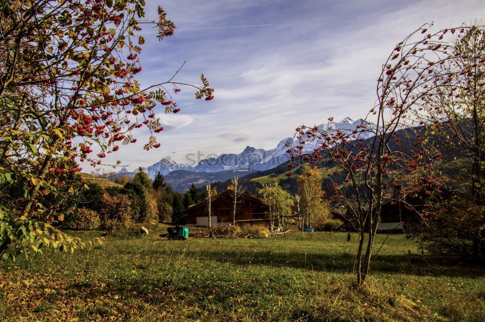 Similar – Waldsee mit Blick zum Schlern