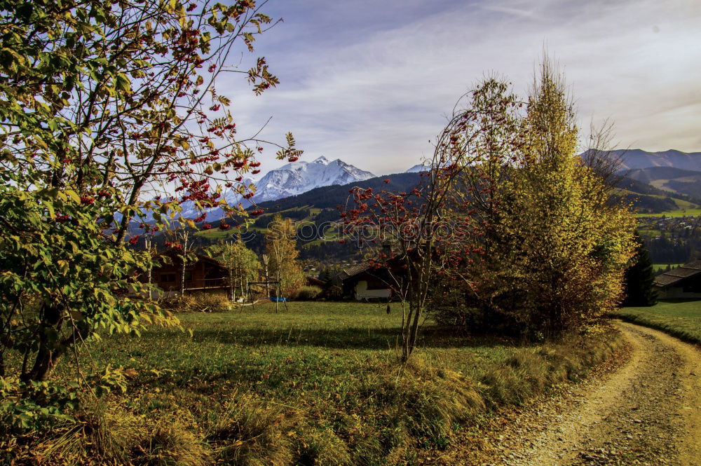 Similar – Image, Stock Photo Lake Kaltern Environment