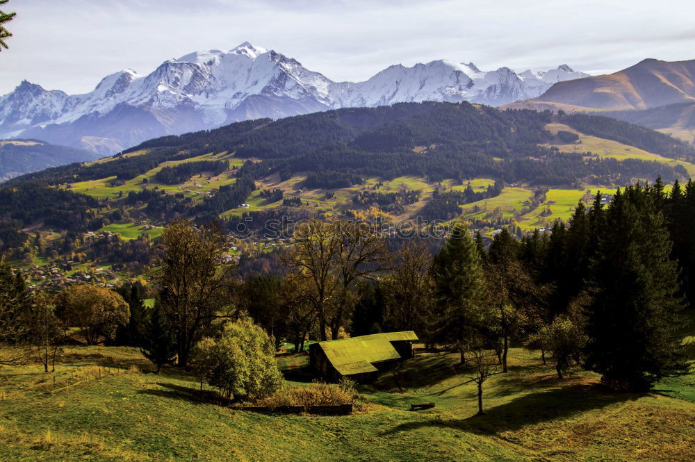 Similar – Image, Stock Photo hiking holiday Environment