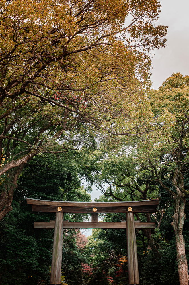 Similar – Japanese arches and path