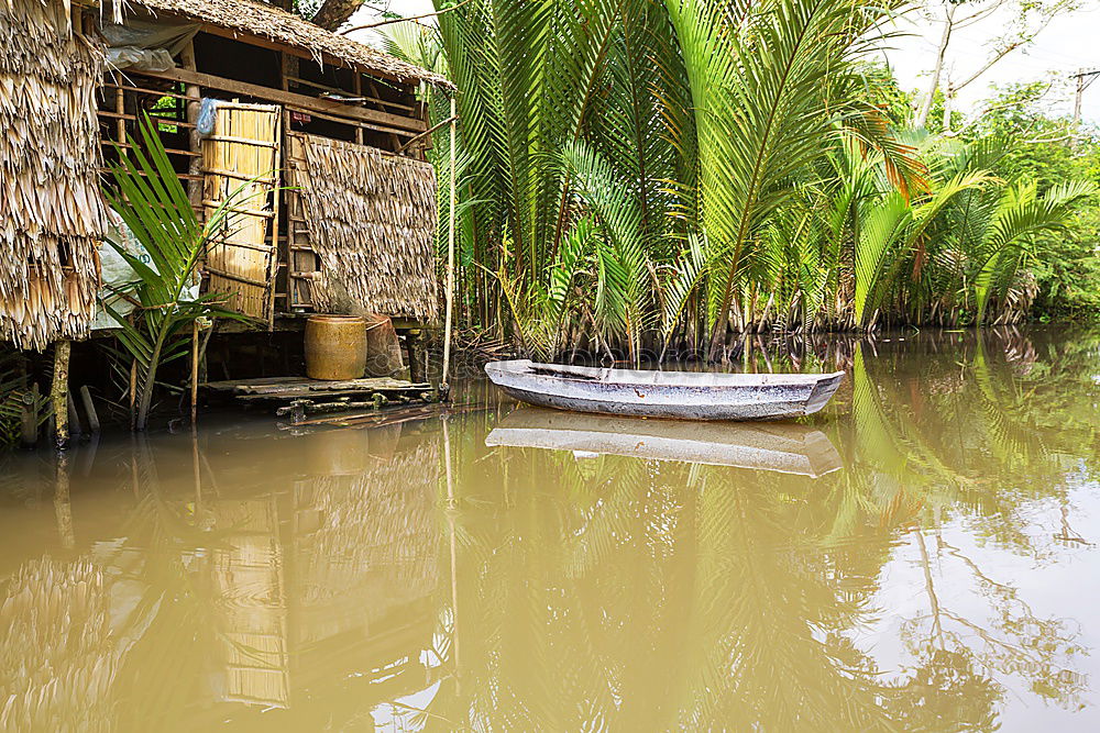 Similar – Image, Stock Photo Mekong Delta Vietnam