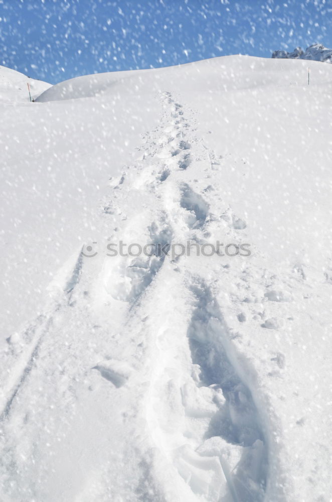 Image, Stock Photo Tracks in the snow