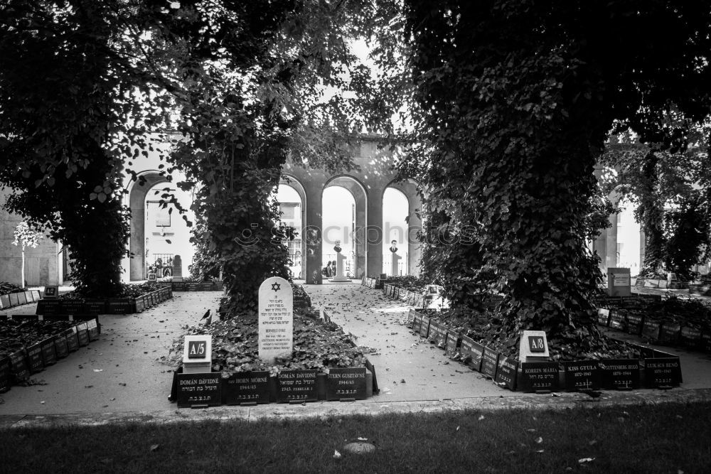 Similar – An old quiet graveyard in Macao, China