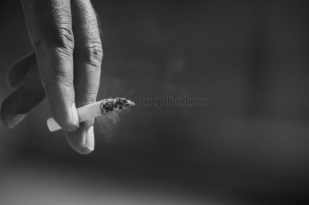 Similar – Image, Stock Photo Hands of a potter shaping clay