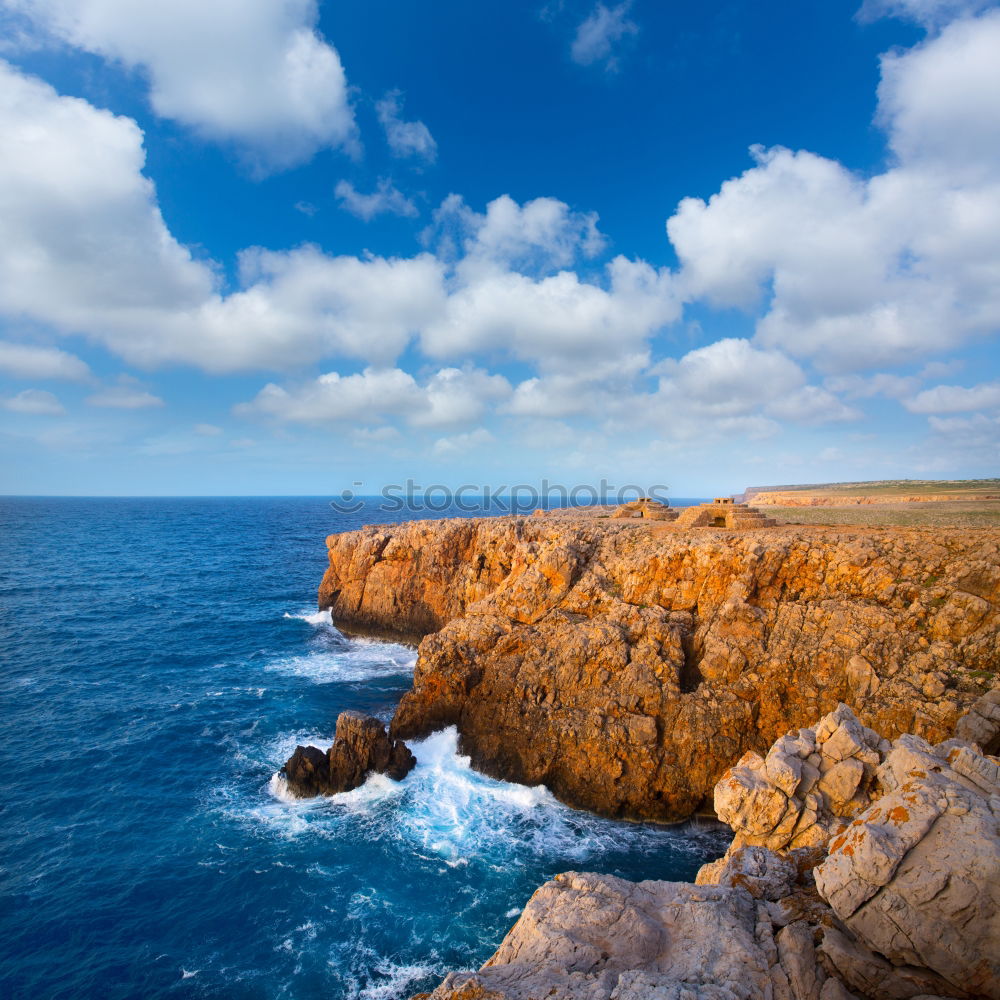 Similar – Image, Stock Photo coastal meadow Environment