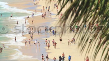 Similar – Resting on the beach of Nazaré