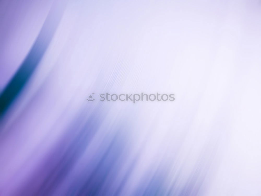 Similar – Foto Bild lila violett rosa