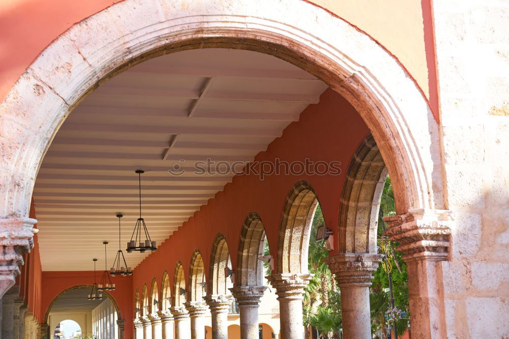 Similar – Image, Stock Photo Young woman standing on the balcony of an old building