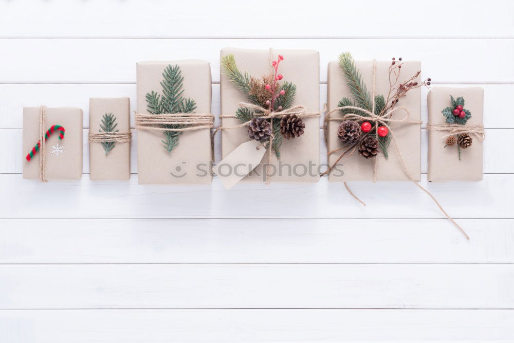 Similar – Image, Stock Photo dried flowers in a glass frame