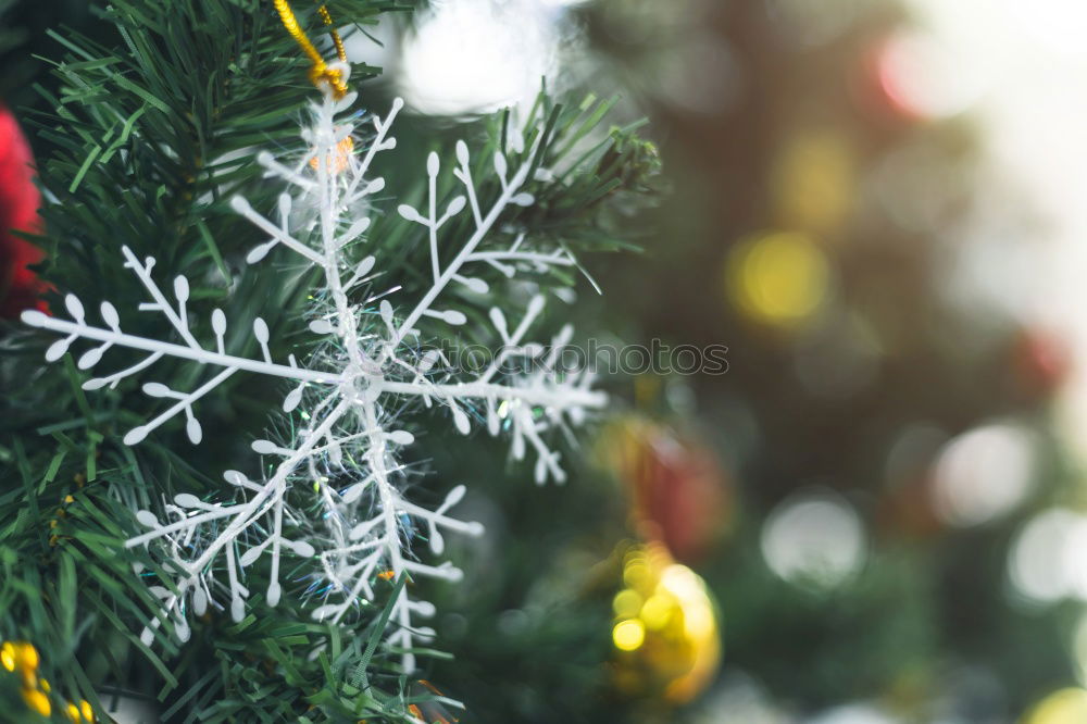 Similar – Image, Stock Photo Christmas fir shape Winter