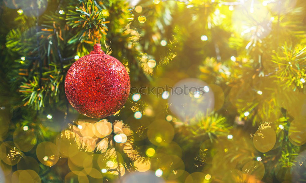 Similar – Image, Stock Photo Easter Garden Environment