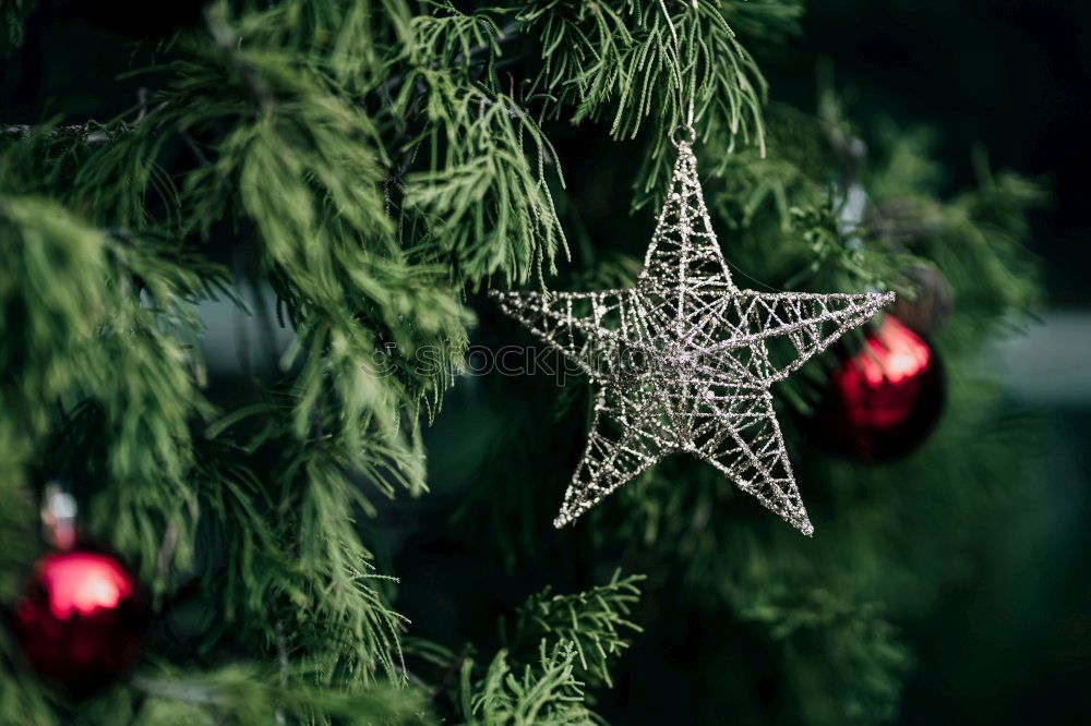 Similar – Image, Stock Photo Christmas fir shape on branch