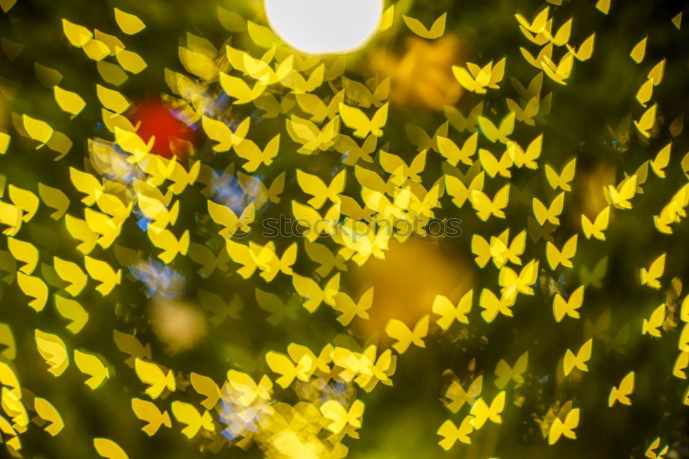 Similar – Image, Stock Photo glittering stars on bokeh