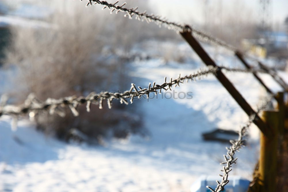 Similar – Image, Stock Photo touché Environment Nature