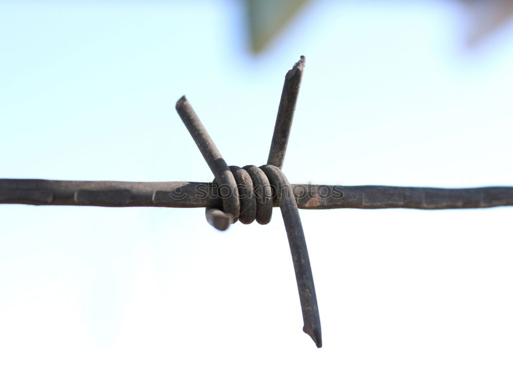 barbed wire Barbed wire