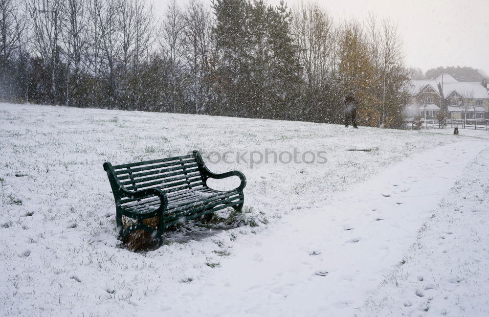 Similar – snow Masculine Man Adults