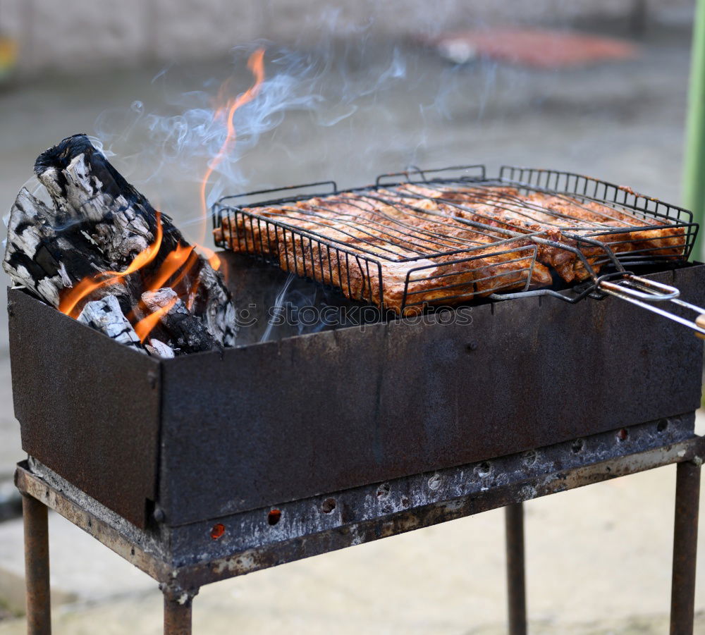 Similar – Image, Stock Photo barbecue Nutrition Dinner