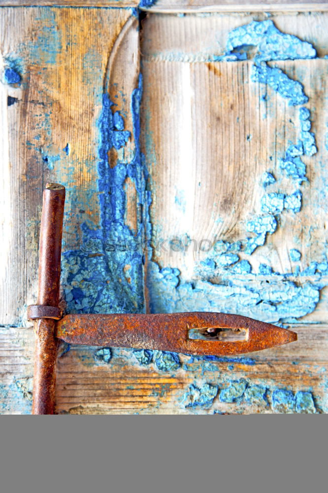 Image, Stock Photo Hey, this is mine …… A wrench and a chainsaw with eyes picking up daisies