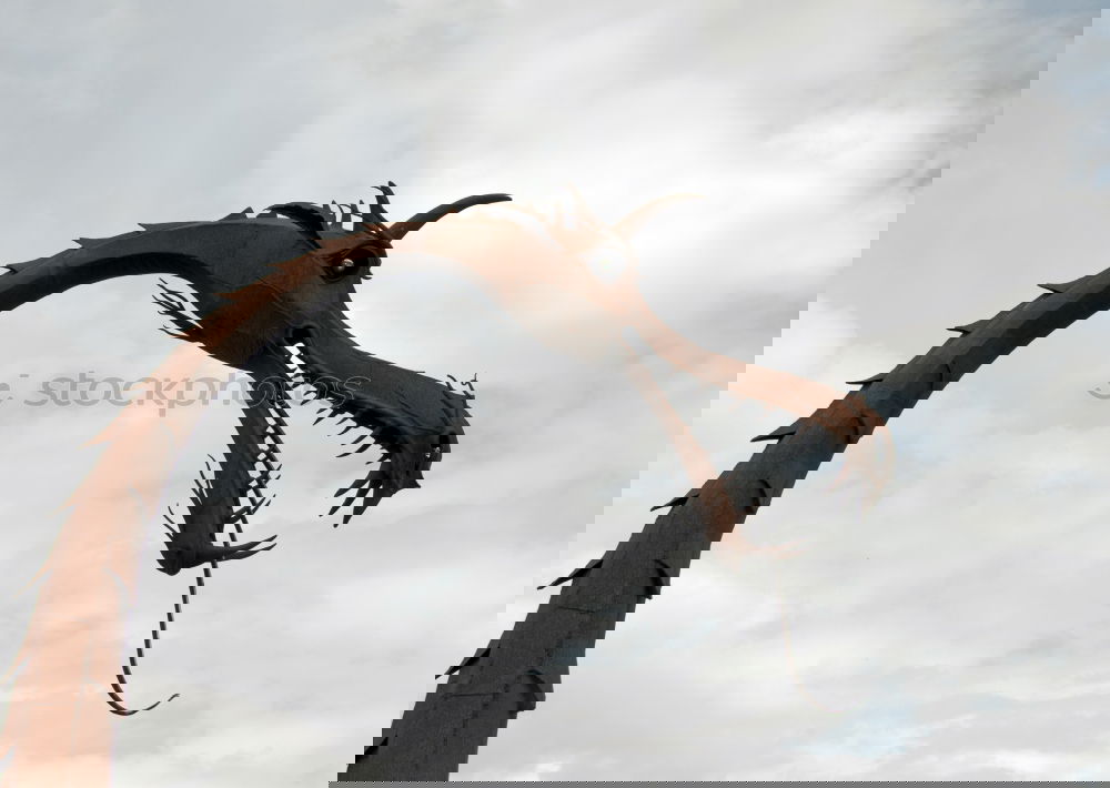Similar – Image, Stock Photo menacingly